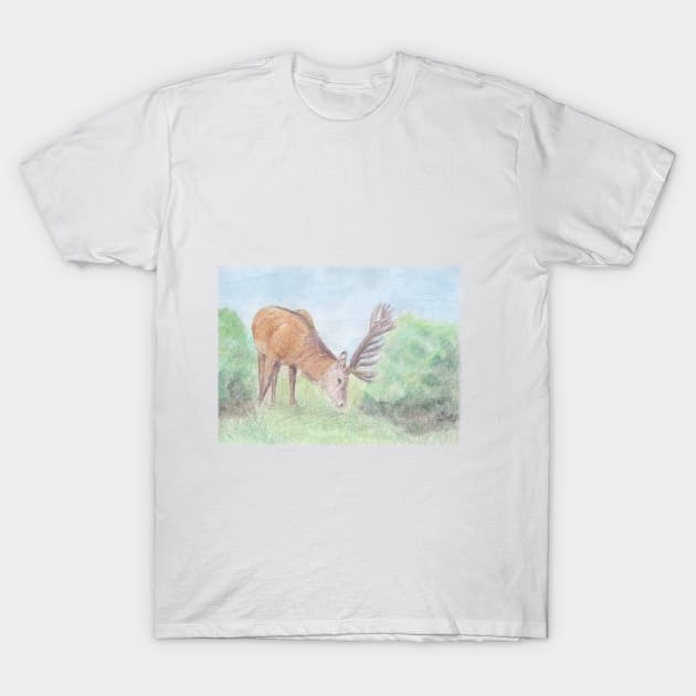 Deer T-Shirt by lindaursin